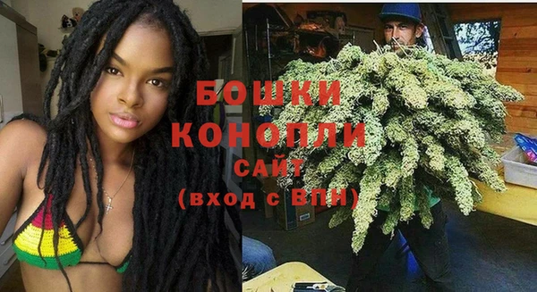 гашик Осташков